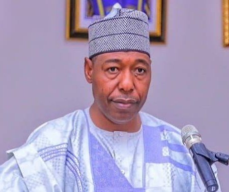 His Excellency, Governor Babagana Umara Zulum